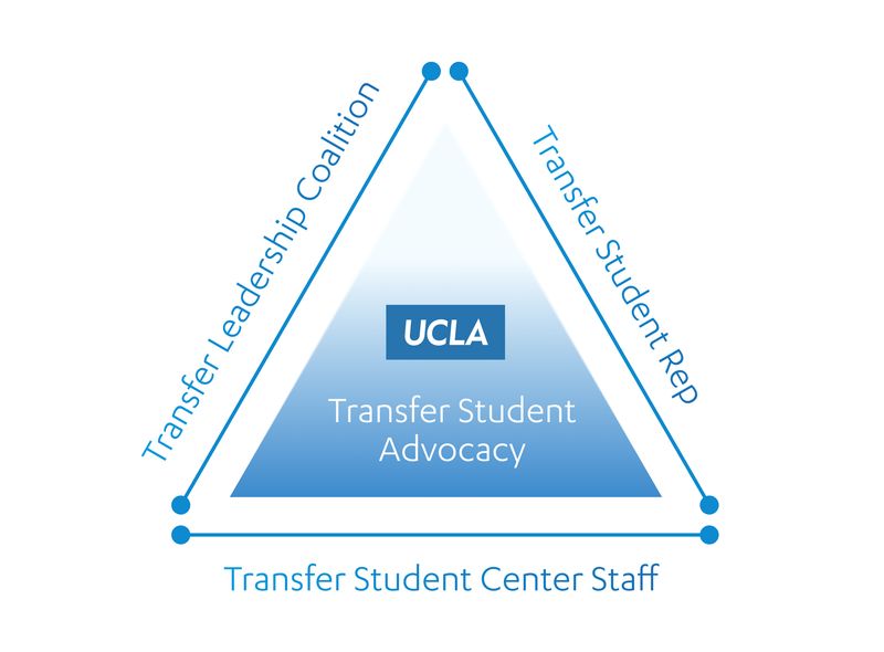 A diagram of the triad of transfer support