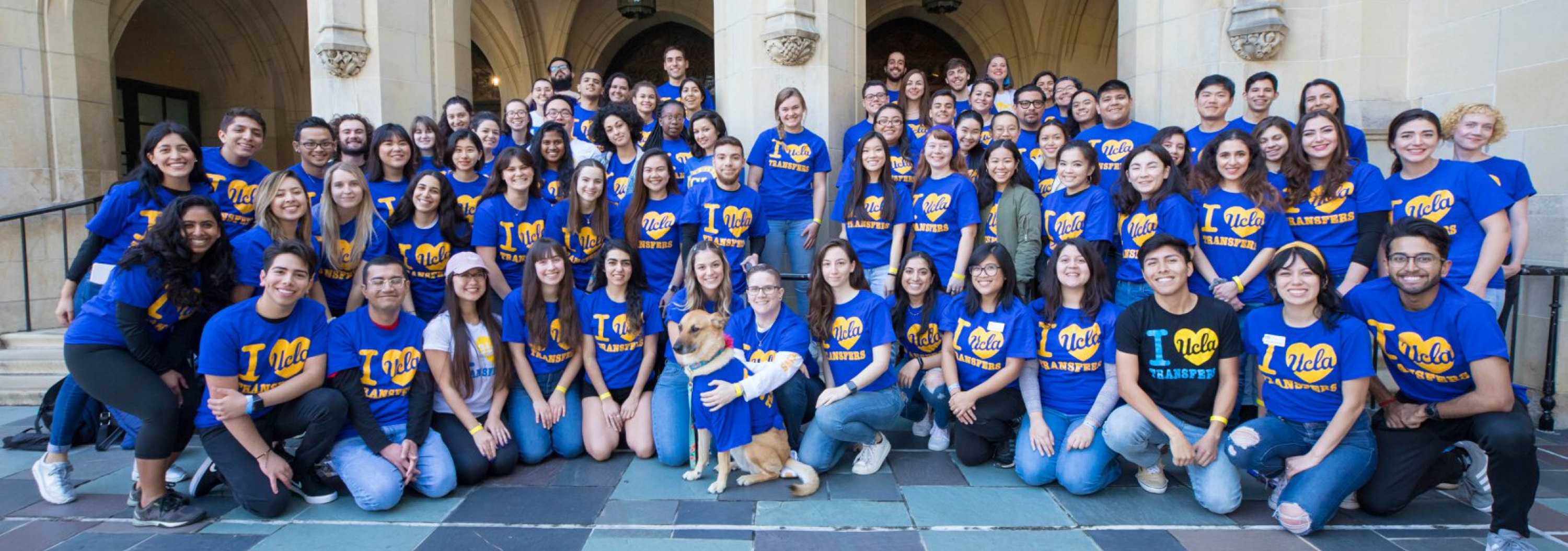 Support Mentorship at UCLA 2021-2022